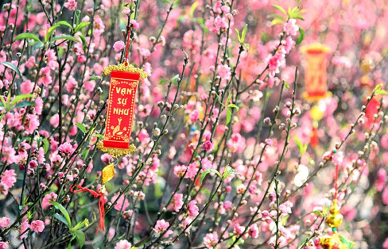 Lunar New Year Photoshoots Take Over Hanoi Beer Street
