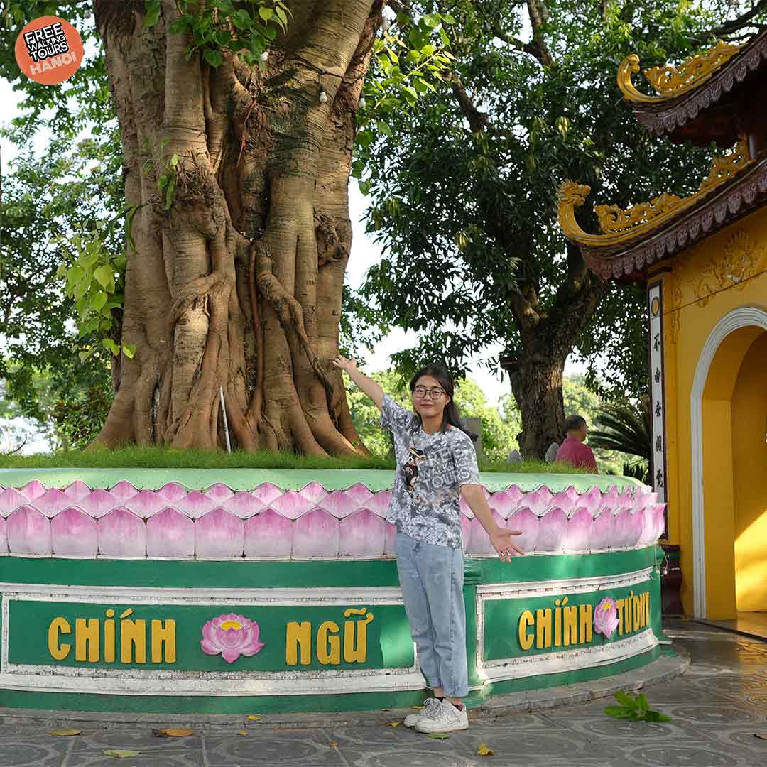 Tran Quoc Pagoda A Serene Retreat in the Heart of Hanoi